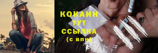 МДПВ Дмитриев