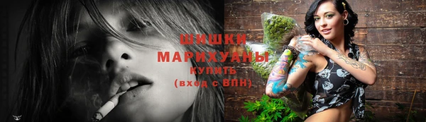 МДПВ Дмитриев