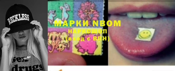 бошки Туринск