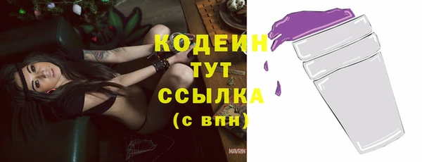 МДПВ Дмитриев