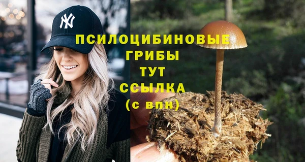 амфетамин Дмитровск