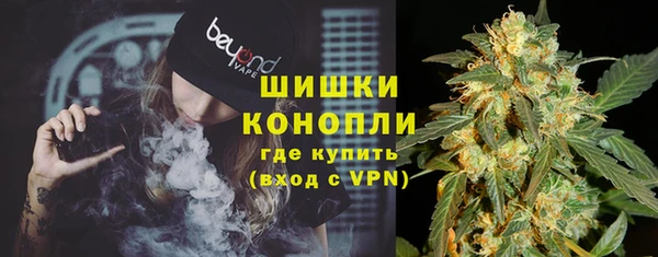 МДПВ Дмитриев