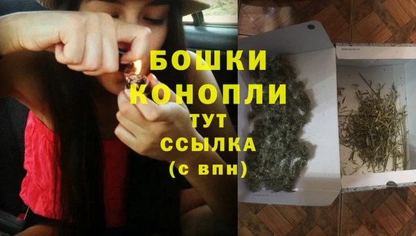 МДПВ Дмитриев