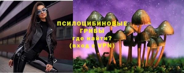 МДПВ Дмитриев