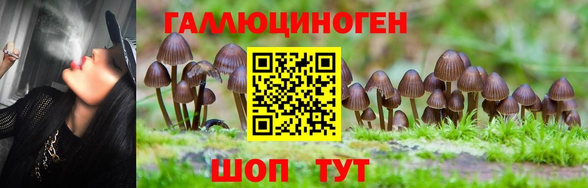 Новомосковск  Псилоцибиновые грибы ЛСД  Вход с VPN 